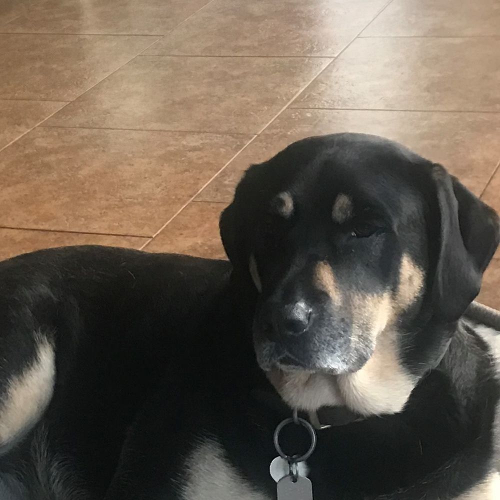 Meet your Posher, Erin murphy